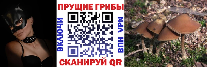 Псилоцибиновые грибы Magic Shrooms Ставрополь